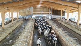 Alexandre LESCURE - ALEXANDRE LESCURE PHOTOGRAPHE