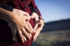 Christophe LORSCH - Bourgogne photo