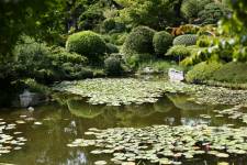 Magali BIANCO - BULLES DE SOURIRES