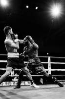 Xavier MARTINO - STUDIO MARTINO