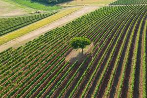 Yvan ARCHENAULT - Yvan ARCHENAULT Photographe